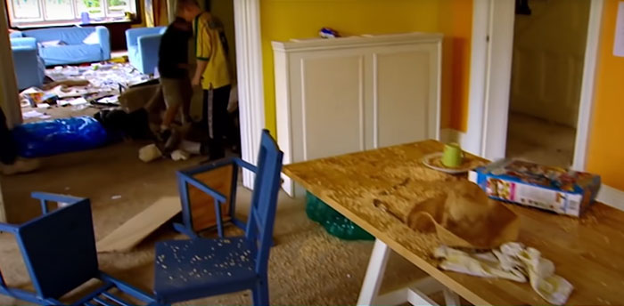 Boys And Girls Were Left Alone For 5 Days, The Experiment Revealed Eye-Opening Insights On How Both Groups Are Misjudged