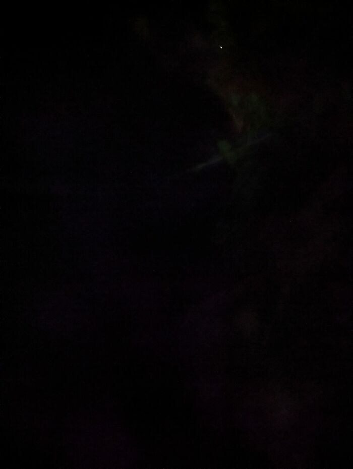 Was Lucky Enough To See This Beautiful Tawny Frogmouth Last Night