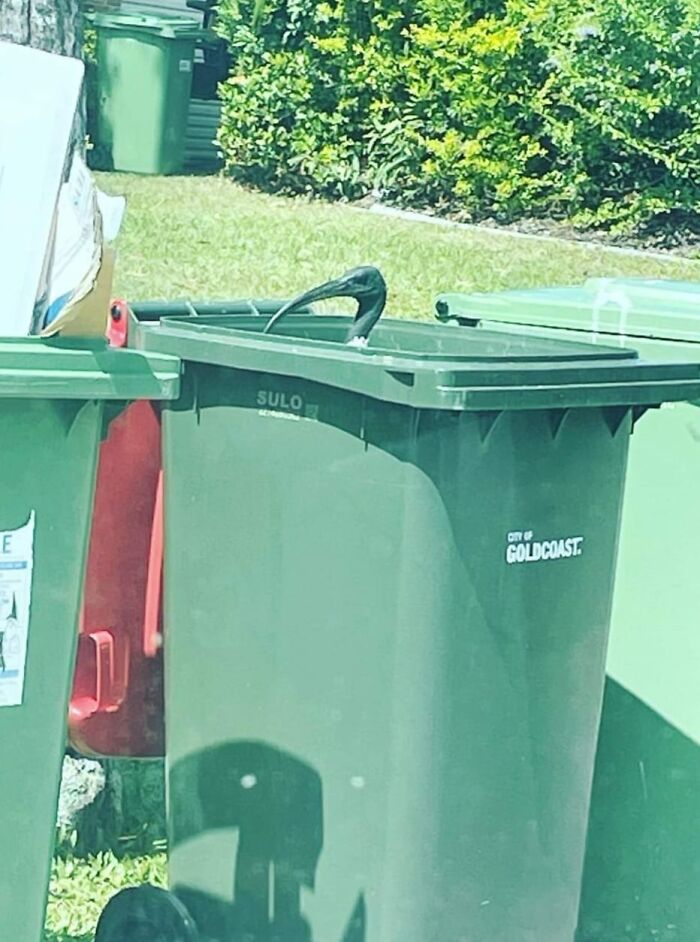 Im Just Gonna Leave This Here