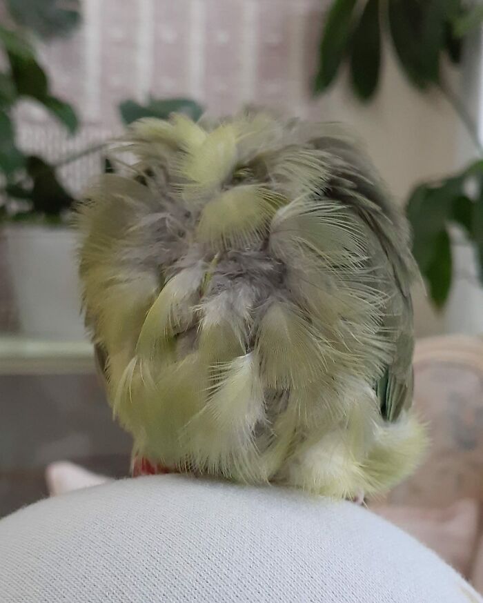 Hoping You Get Ahead In 2023!