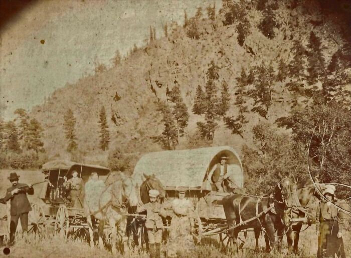 Pioneers Traveling In A Covered Wagon And A Carriage, Probably In Colorado, 1880s