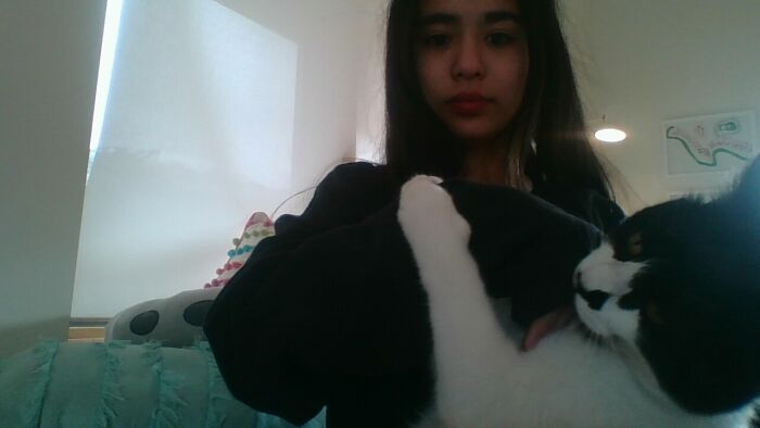 Ulysses And I (Though I Am Not James Joyce). When I Was Eleven Or So, I Was Taking A Walk And A Lady Pointed Out A Creature In The Bushes. The Creature Was M'boy, Ulysses, And We Have Spent Two Years Together So Far