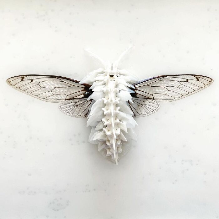 Home-For-Peculiar-Artists