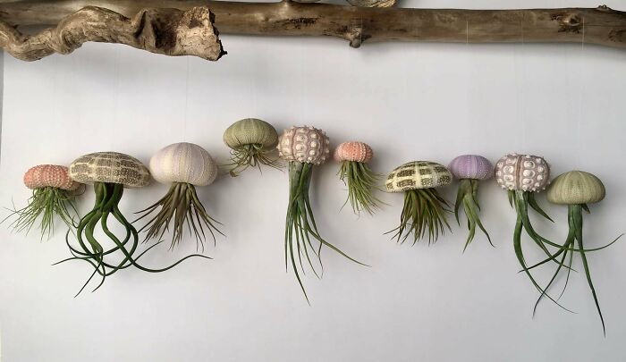 Home-For-Peculiar-Artists