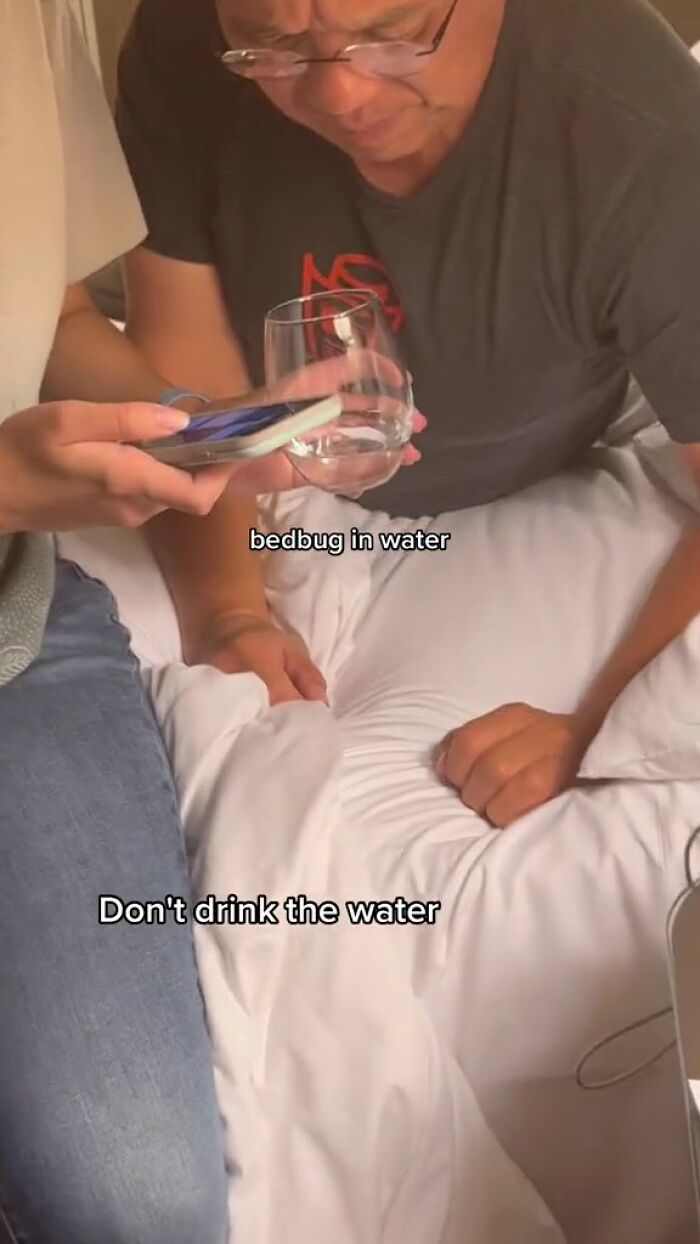 Woman Documents Hotel&rsquo;s Brilliant Response After Finding A Single Bedbug In A Room