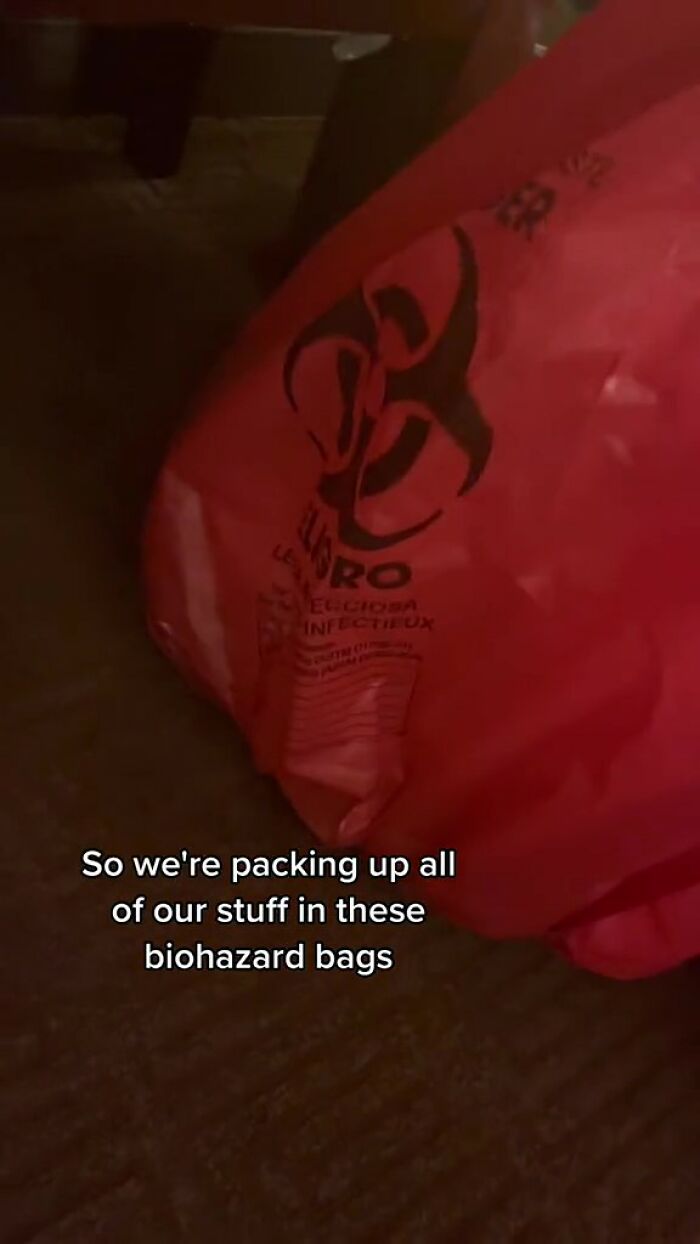 Woman Documents Hotel&rsquo;s Brilliant Response After Finding A Single Bedbug In A Room