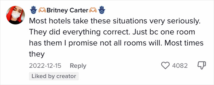 Woman Documents Hotel&rsquo;s Brilliant Response After Finding A Single Bedbug In A Room