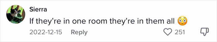 Woman Documents Hotel&rsquo;s Brilliant Response After Finding A Single Bedbug In A Room