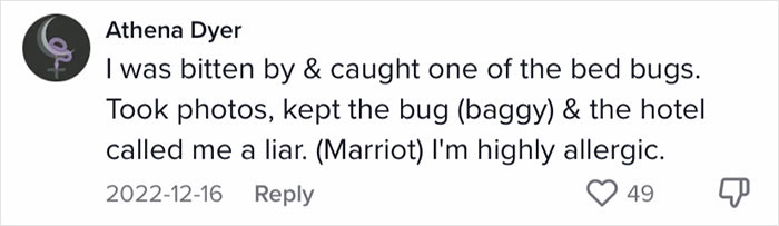 Woman Documents Hotel&rsquo;s Brilliant Response After Finding A Single Bedbug In A Room