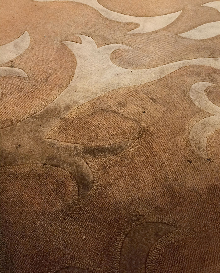 La alfombra de mi hotel de 250 dólares por noche en Disneylandia