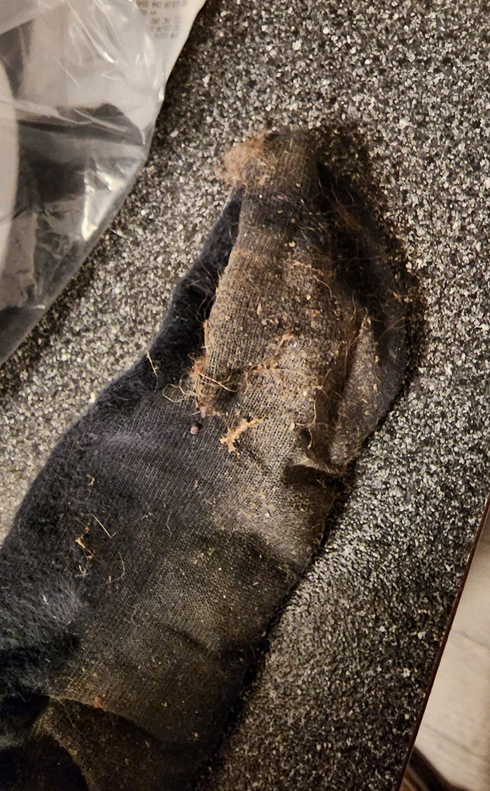 I Booked Airbnb For My Family. 5 Minutes Into Our Stay This Is What Our Socks Turned Into Just Walking Around. The Host Refuses To Cancel Or Refund