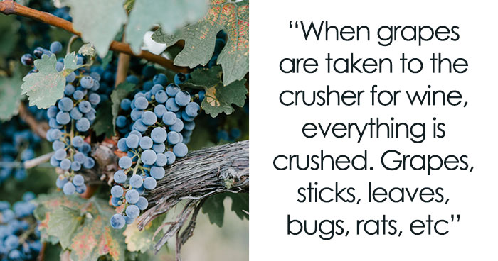 How It’s Actually Made: 53 Products People Would Stop Buying If They Knew What’s Behind Them