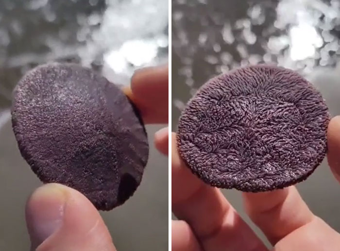 What Is This Oddly Terrifying Creature?