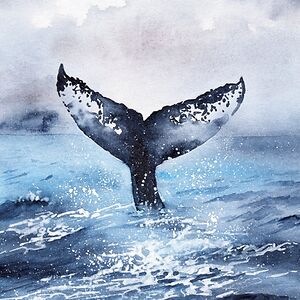 jeedaalmejaish avatar