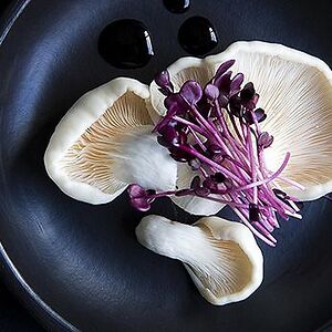 katherynnee_walker avatar