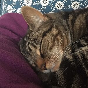 katarina_butz avatar