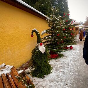 jacquelinecase avatar