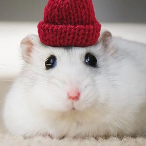 natalie-offerdahl avatar