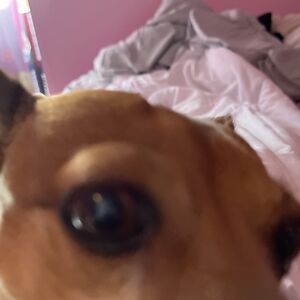 charlottesingh2011 avatar