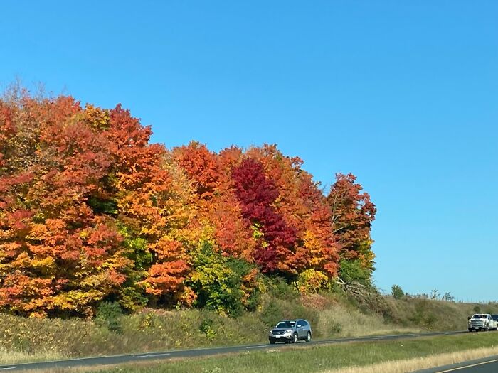 Taken From Moving Car. Not The Driver. Southern Ontario