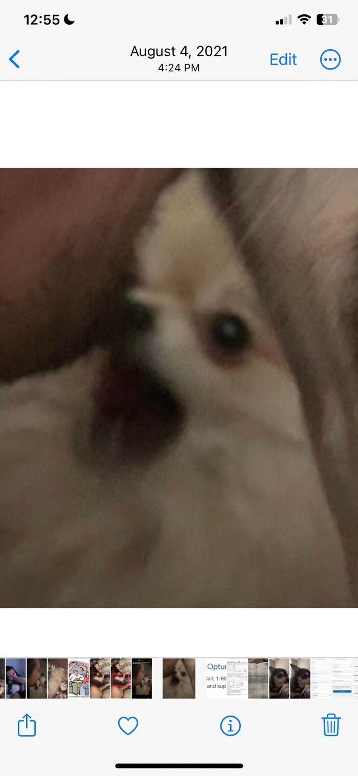 Ruprecht, The Real Demon From Exorcist