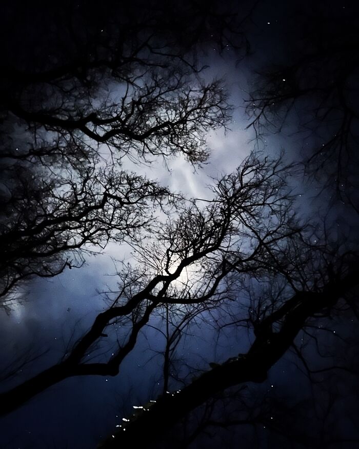 Nighttime In France, December