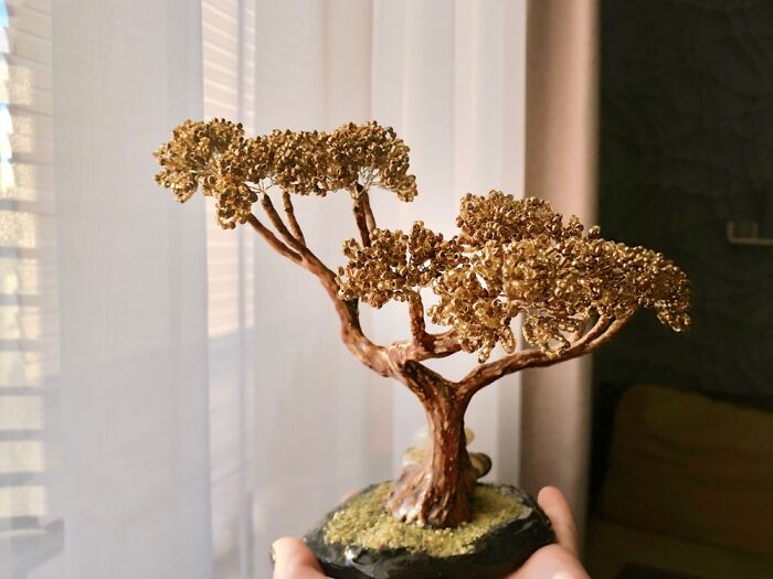 Trees That Have Become An Integral Part Of My Life (6 Pics)