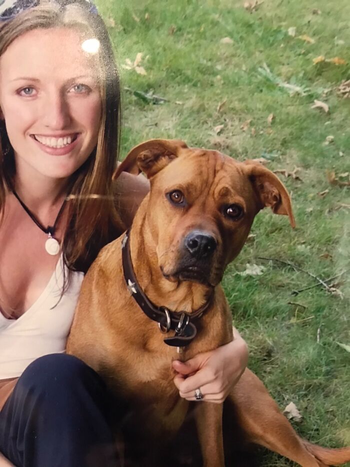 He Was Abandoned At 1 1/2 Years. We Had Him For 15 Years. Best Brown Dog Ever!! Rip Cash