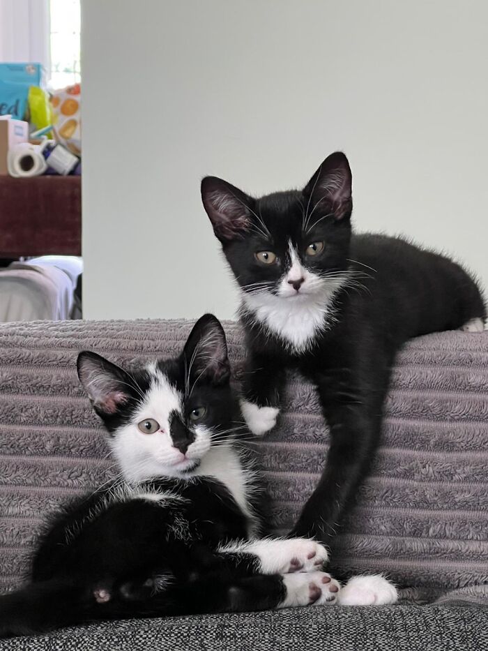 Ash And Ripley - They Stole My Heart The Moment I Saw Them