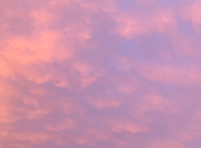 Pretty As A Painting