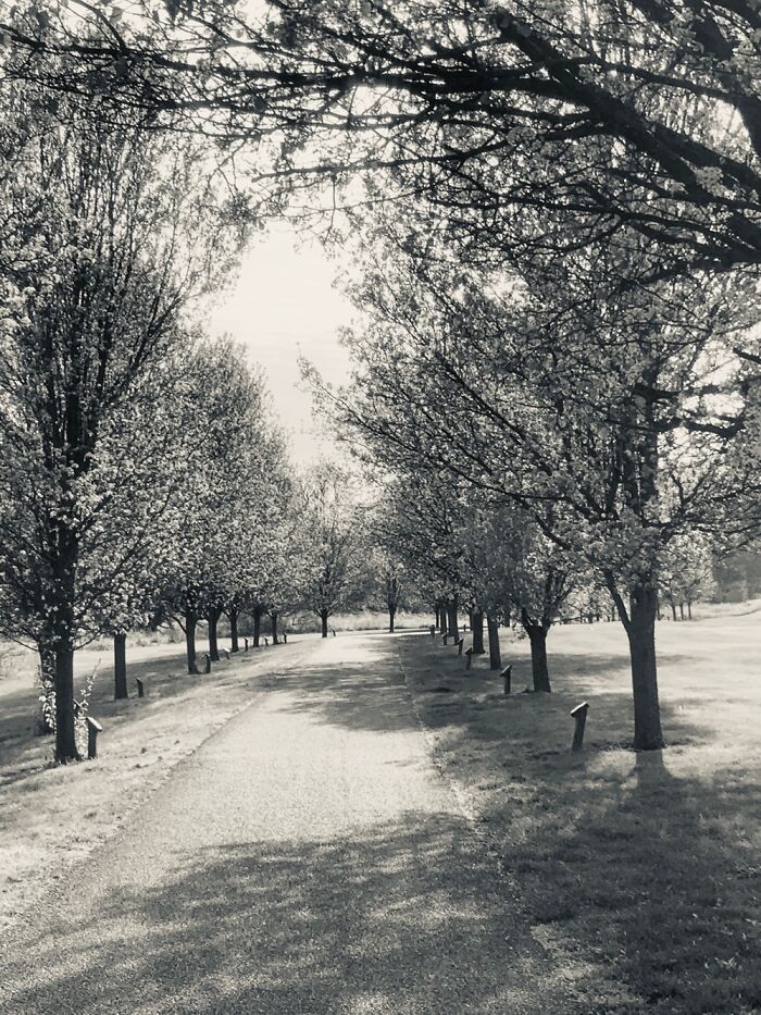 This Is A Small Trail Near My House I Walked Everyday