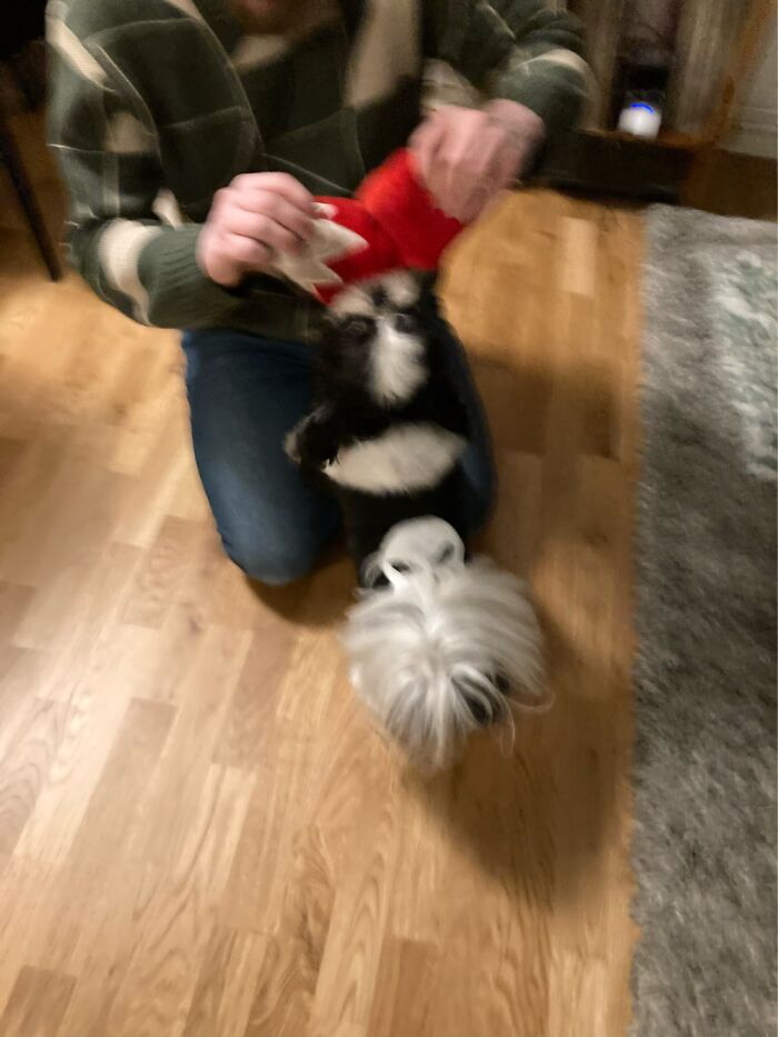 Looking At Me While Playing With Dad