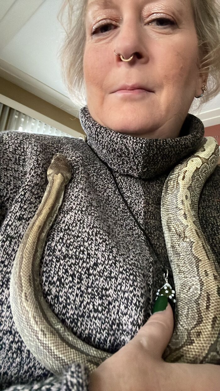 Sly, My Ball Python. He’s A Derp And A Good Boy!