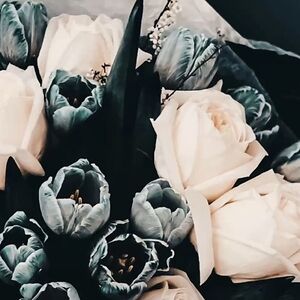 jayandkarenrollon-smith avatar