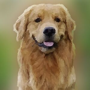 martinandritesh avatar