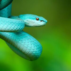 caitlinhiggins16 avatar