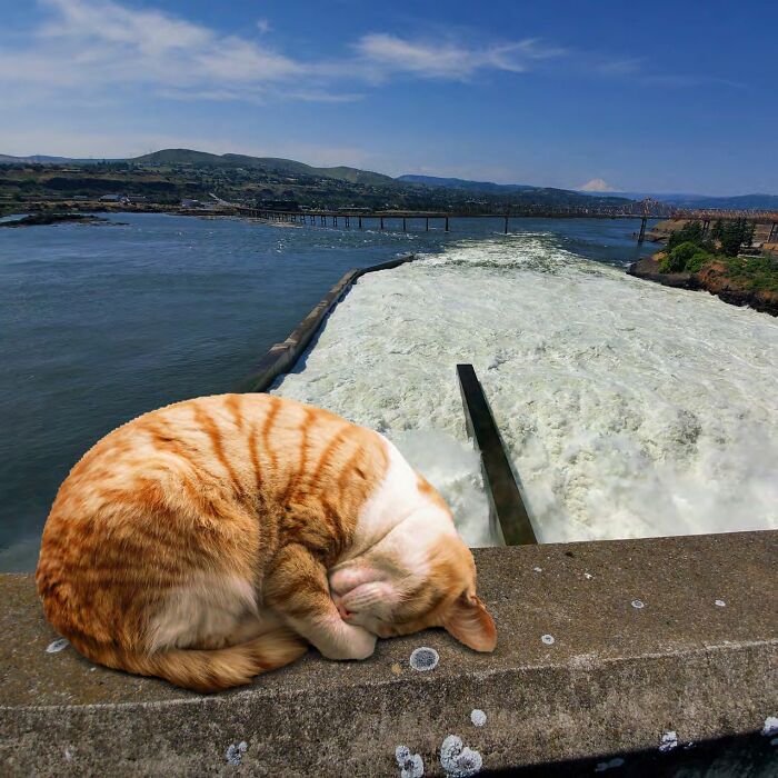 The U.S. Army Corps Of Engineers' 2023 Calendar Is A Funny Blend Of Engineering And Entertainment