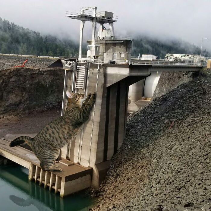 The U.S. Army Corps Of Engineers' 2023 Calendar Is A Funny Blend Of Engineering And Entertainment