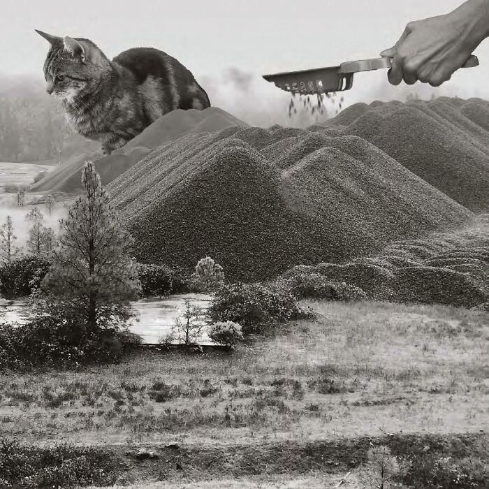 The U.S. Army Corps Of Engineers' 2023 Calendar Is A Funny Blend Of Engineering And Entertainment