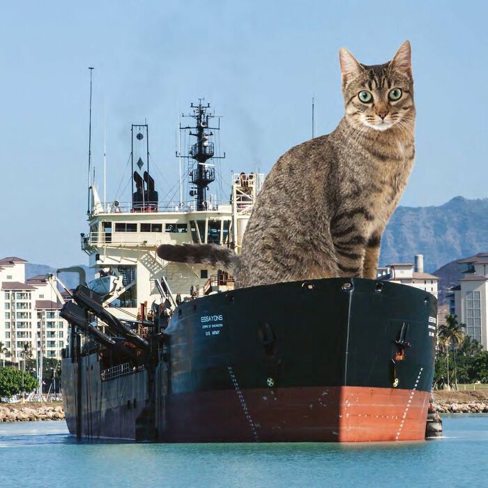 The U.S. Army Corps Of Engineers' 2023 Calendar Is A Funny Blend Of Engineering And Entertainment