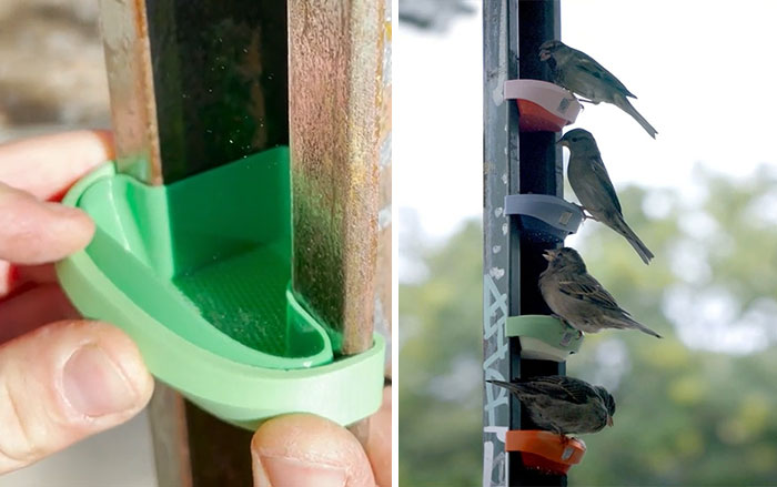 Ugh... Another Bird Feeder... But This One Is For The Common Good!