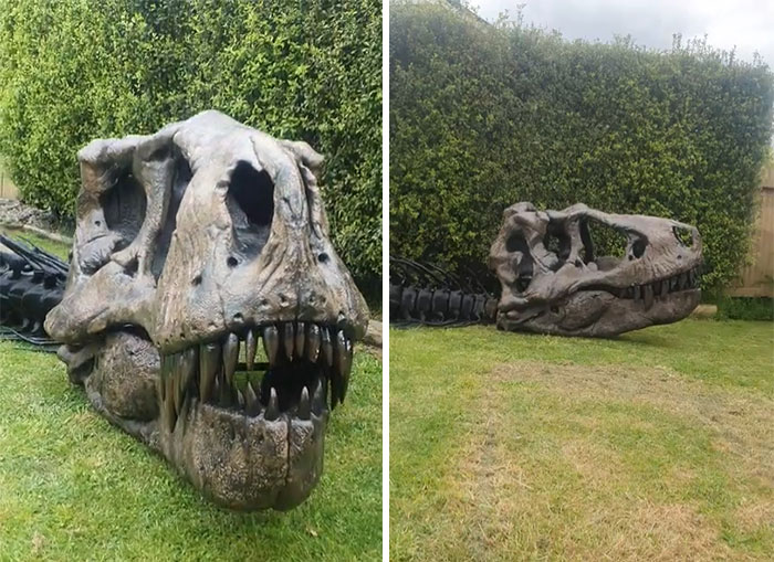 A Walk Around Of The 1:1 T-Rex Print. Started Printing The Ribs Today