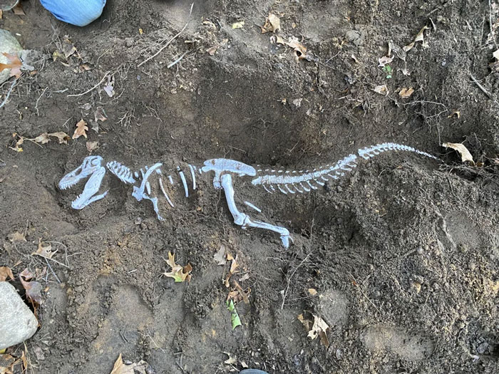 Printed A 4-Foot T-Rex And Buried It In My Yard For My Nieces To Discover And Excavate