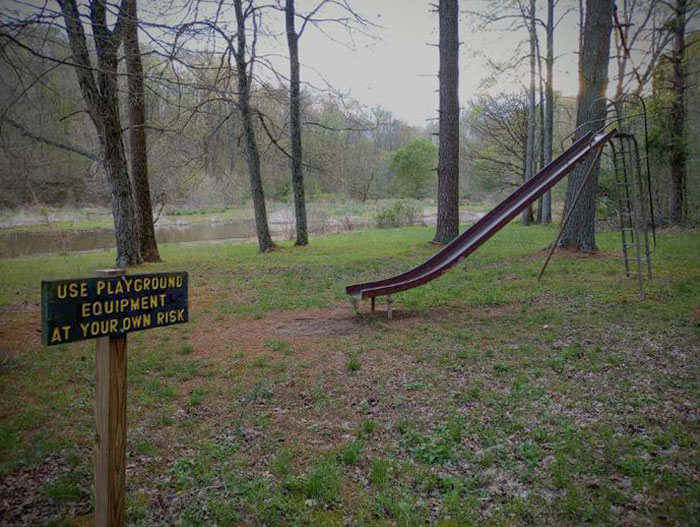 Picture I Took In A State Forest