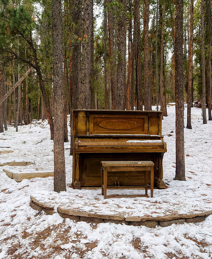 Piano In The Woods