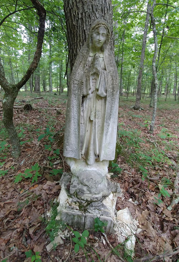 Found On A Hike Through The Woods In The Middle Of Nowhere, West Virginia. Nothing Else Around, No Buildings Anywhere