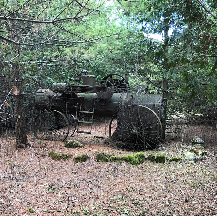 Steam Engine Left In The Forest. Ontario Canada