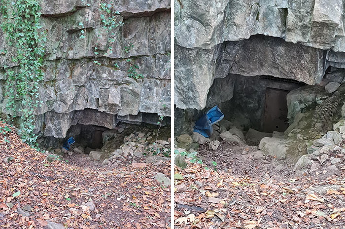 Was Out Foraging In My Local Woods Today, And I Wandered Off Down A Long Overgrown Path I'd Never Followed Before