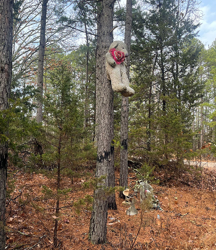 Came Across This On A Remote Forest Road