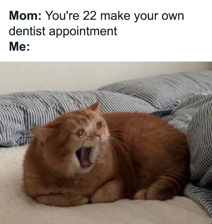 Introvert-Feels-Memes